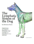 The Lymphatic System of the Dog